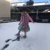 雪の大晦日いかがお過ごしですか