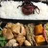 今日のお弁当(1/29)