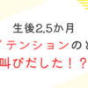 育児日記　生後2.5か月　テンション高い時叫ぶようになった我が子