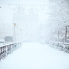 【極寒】今日は全国各地で雪が降り、めちゃくちゃ寒い日。でも頑張ってランニングいきます！【＃622点目】