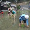 昨日は田植え今日は定例会告示日