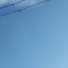 また無くした