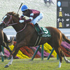 競馬初心者必見☆馬券予想🔥〜京都2歳S〜良血馬が結果を残す！
