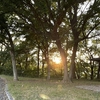 夕景を求めて・・・