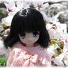 桜ところん♪