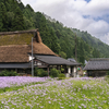 北山の里