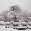 【絶景！雪の京都東山を歩く２時間】祇園 三年坂 八坂の塔 清水寺 八坂神社 円山公園