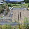 実家の畑で農作業でした