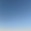 最近の日常①
