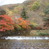 比叡山の紅葉　１２月４日