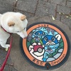 芹ヶ谷公園のポケモンマンホール
