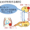 しあわせに過ごしたいと思う心