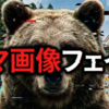 【徹底解説】女川町クマ画像はなぜ見抜けなかったのか？生成AIフェイク「判別不可能」時代の到来と私たちが持つべき自衛策