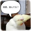 宿題中のナゾの会話