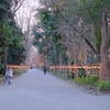 下鴨神社参拝から帰ります