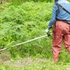 草刈り 菅野