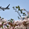 カンタス航空のマイルでJALの羽田ー韓国ソウル間の特典航空券を予約