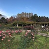 神代植物公園と深大寺