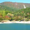 【桑折お散歩録】半田山の紅葉情報（10月15日撮影）