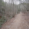 里山林（宝塚市西谷の森公園）