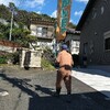みかん狩りに到着