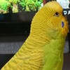 ５月２６日の相場を見てみたよ　チュン