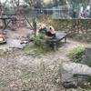 【猿・鳥が充実（パンダもいる）】上海動物園をうろつく