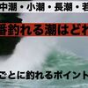 結局一番釣れる潮は何か。潮ごとの特性をご紹介