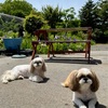 みんなとってもおりこうさん
