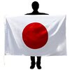 国旗を燃やすなら今しかない！燃やせ