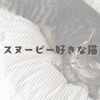 スヌーピー好きな猫