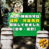 【写真満載】カッパ捕獲許可証を取得！遠野市のかっぱ淵での釣り体験【岩手県】
