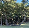 強風の大洗を体感！難しかったですね・・・