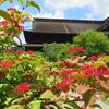 長野：梅雨の合間に善光寺！