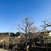 【岡山・倉敷】ひとり旅4日目