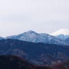  高尾山