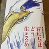 【君たちはどう生きるか】感想と、鳥好きが観た考察メモ（ネタバレなし）／追記：パンフ買いました