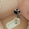 【閲覧注意】外出先での良いトイレの見分け方【必見】