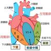   【基礎から学ぶ】心筋梗塞の心電図【解剖生理学】