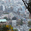 元旦の鹿児島県立博物館