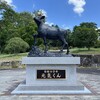 なつやすみ