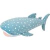ジンベエザメ「海くん」の物語 ～海遊館での生活と放流の理由～