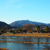 愛宕山登山｜愛宕神社から月輪寺へ抜ける周回コースと景色を紹介