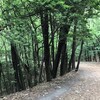 平和公園