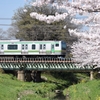桜×鉄道　その他