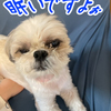 眠いのに寝れない