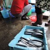 佐渡　自家製の出汁魚／トビウオの季節