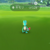 ポケモンGO! 出現率渋め？キモリコミュニティデイ in北新地