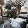 又雪が・・・降りました