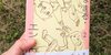 みぞグミ絵璃「はなまる・エントロピー」第2巻